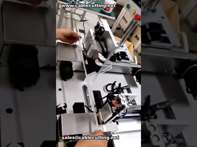 客製化多點纏繞機｜軟管同步貼合19mm與30mm膠帶