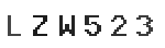 Verification Code Image